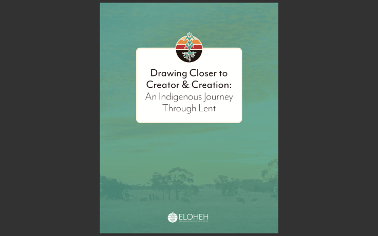 Screen Shot 2020-02-27 at 8.31.16 AM